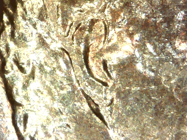 1983-D-LMC-Doubled-Die-Obv.