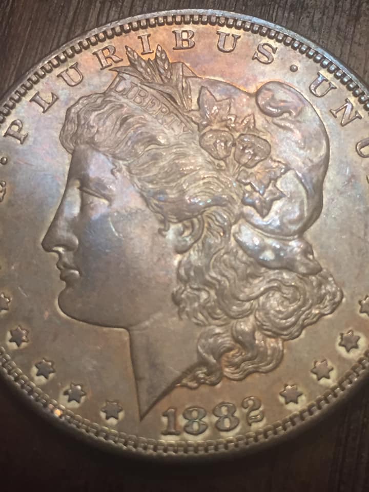 1882-S-Morgan-Dollar-Advice/Input