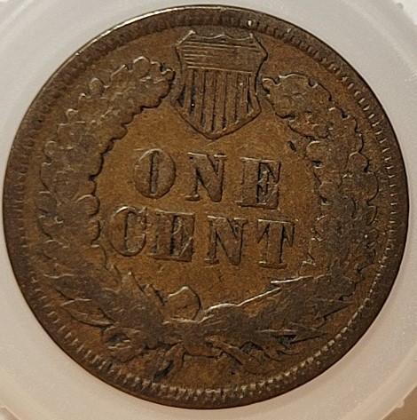Indian-Head-Cents---Anyone?