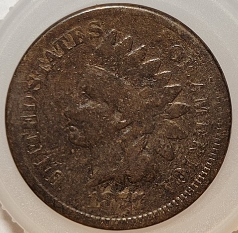 Indian-Head-Cents---Anyone?
