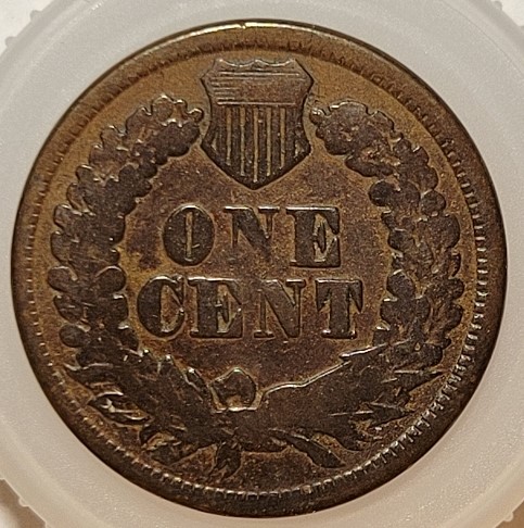 Indian-Head-Cents---Anyone?