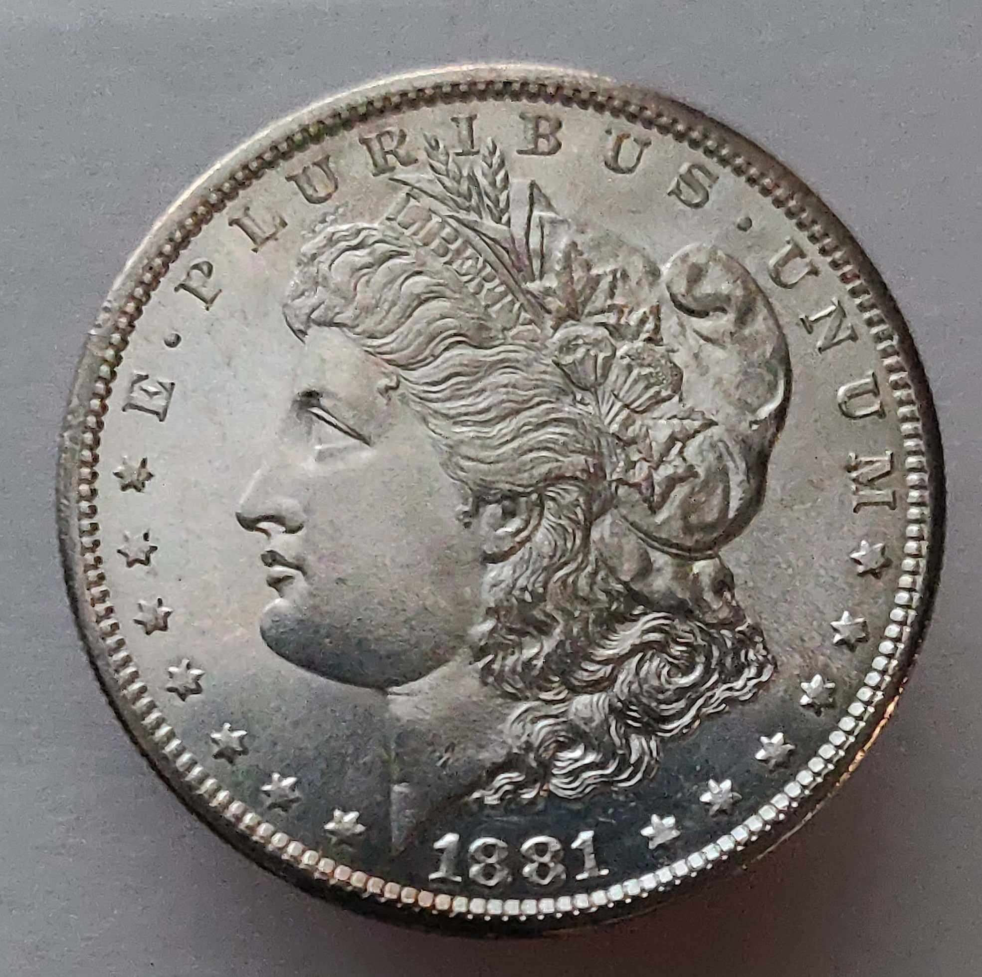 1881-S-Silver-Dollar-#2---Grading