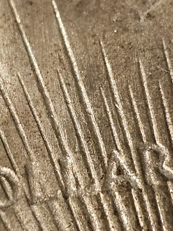 1925-Peace-Dollar-VAM-3-And-Or-VAM-1R?