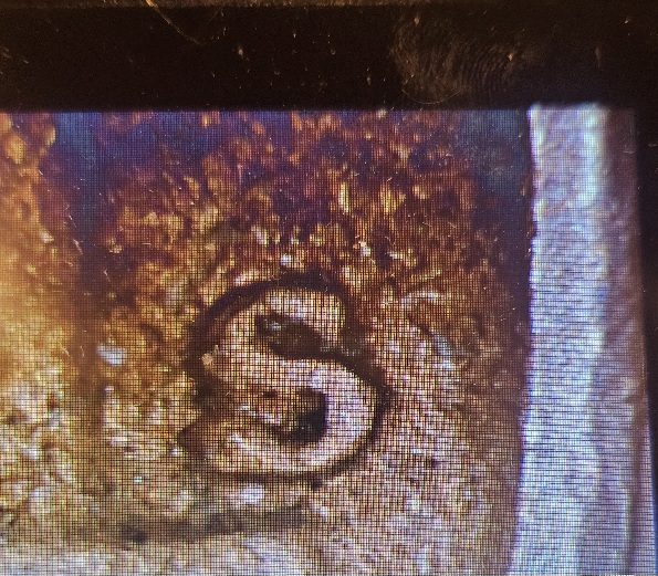 1954-S/D-Nickel?-Thoughts?