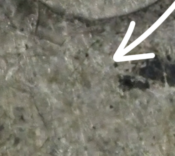 1892-Barber-Half-Dollar-Micro-O?