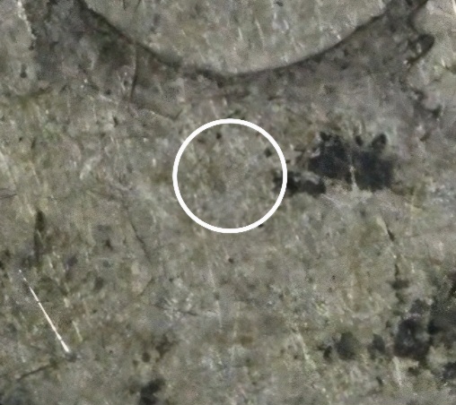 1892-Barber-Half-Dollar-Micro-O?