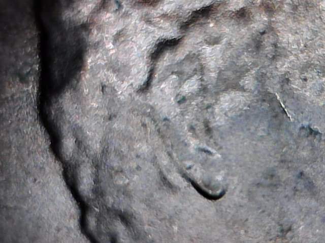 2018-D-Penny-Ear-Question?