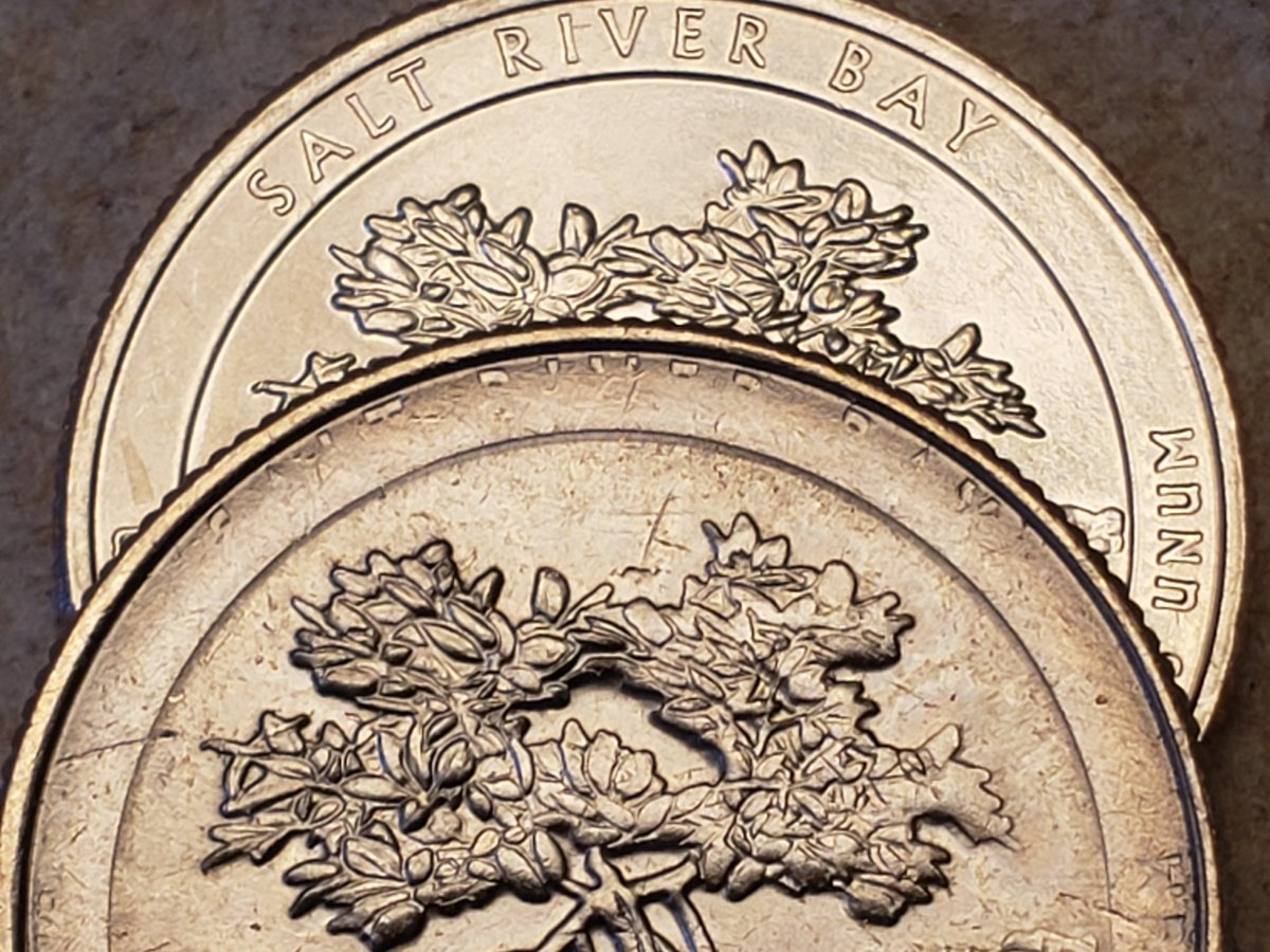 2020-D-Salt-River-Bay---Struck-Through--Quarters