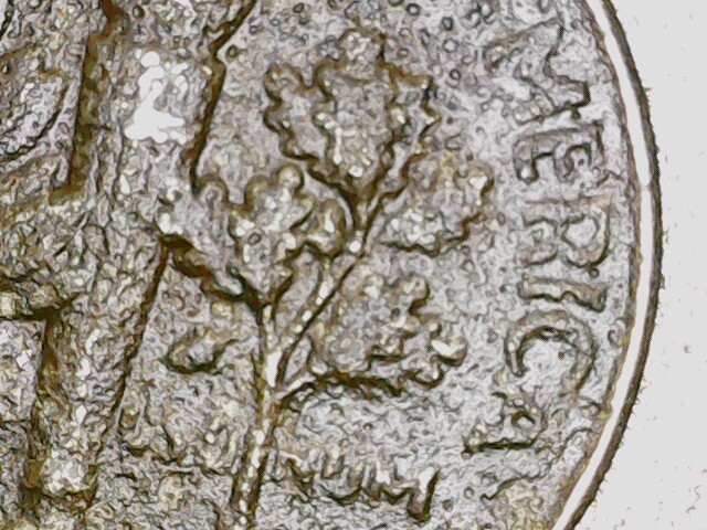 2018-P-Dime-Dark-Brown-Color