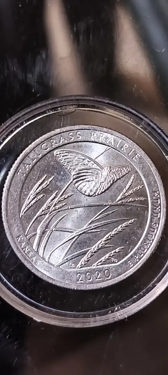 2020-P-Tall-Grass-Prairie-Quarter-Die-Chip-Above-Washington-S-Eye