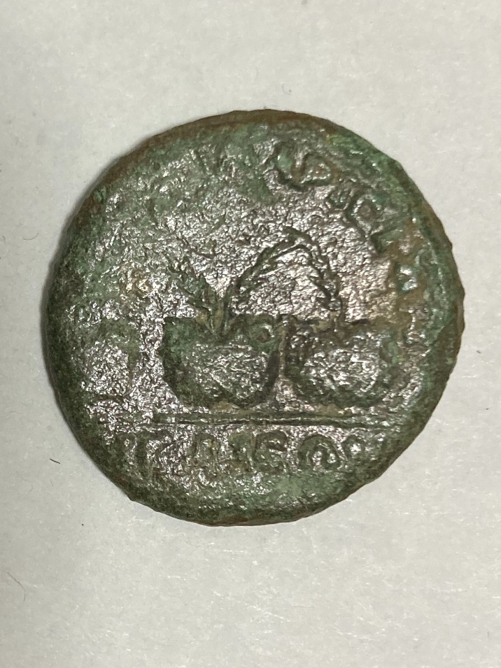 Help-To-Identify-This-Provincial-Coin
