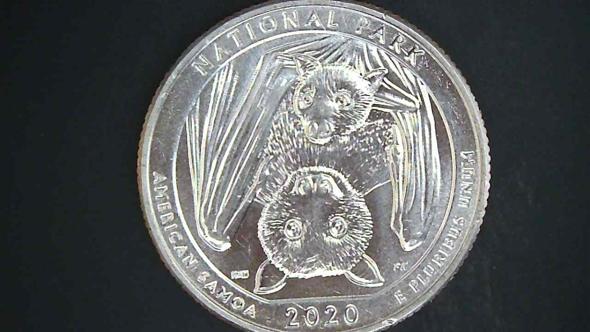 2020-D-Quarter-