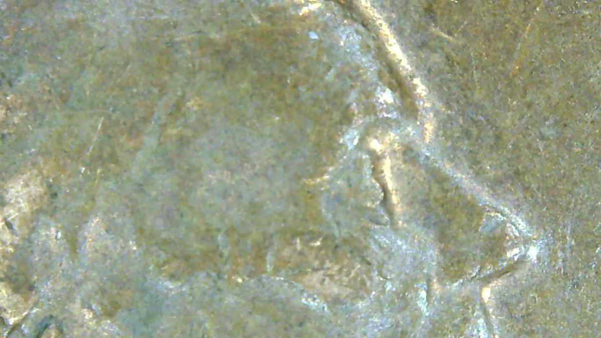 1972-S---Penny-Is-It,-Maybe?-----------DDO-001,-Pr--1-O-I---Cw?