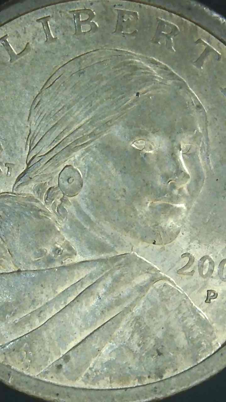 2000-P-Sacagawea-Dollar,-
