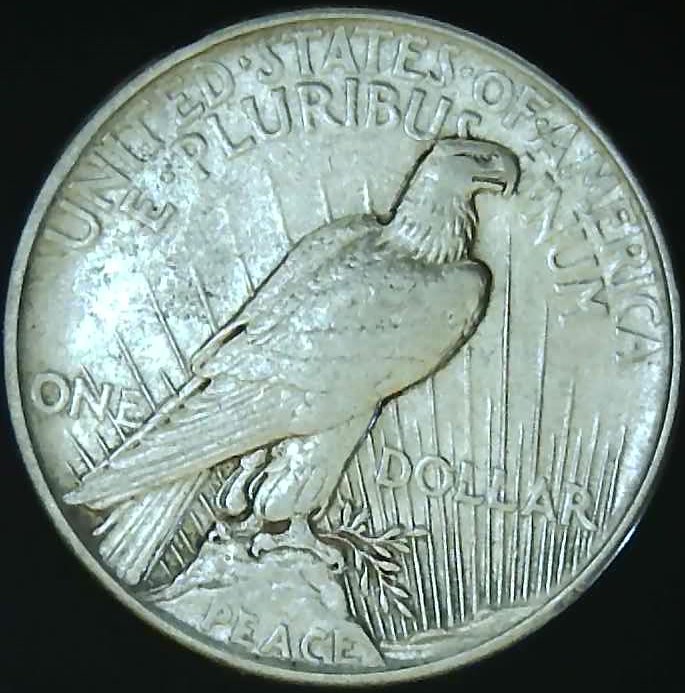 1921--Peace-Dollar-,-Please-Help-Grade-This-New-Addition