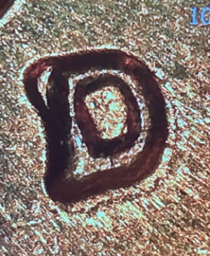 What-Type-Of-Die-Error-Is-This?--1982-D-Cent