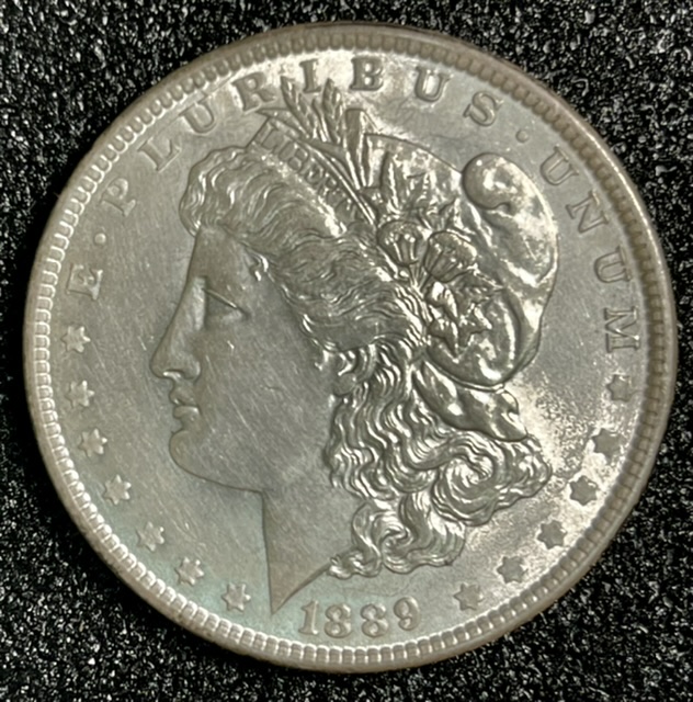 How-You-You-Grade-This-Coin?-1889-Morgan-Dollar