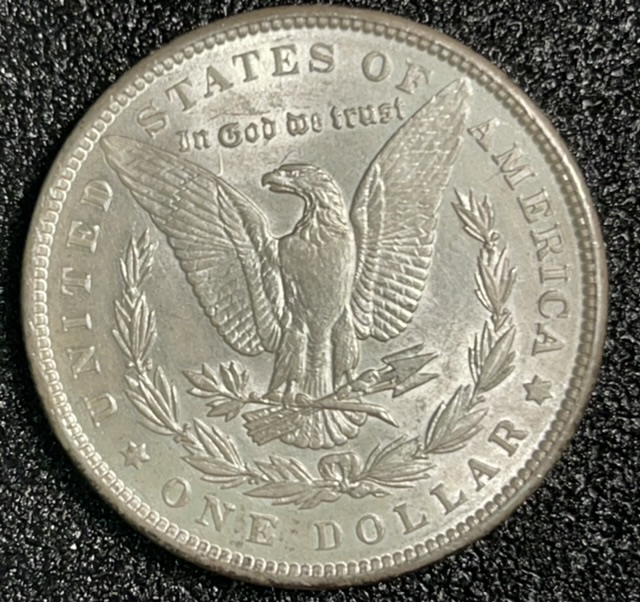 How-You-You-Grade-This-Coin?-1889-Morgan-Dollar