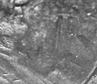Errored-Franklin-Penny-No-Visible-Date