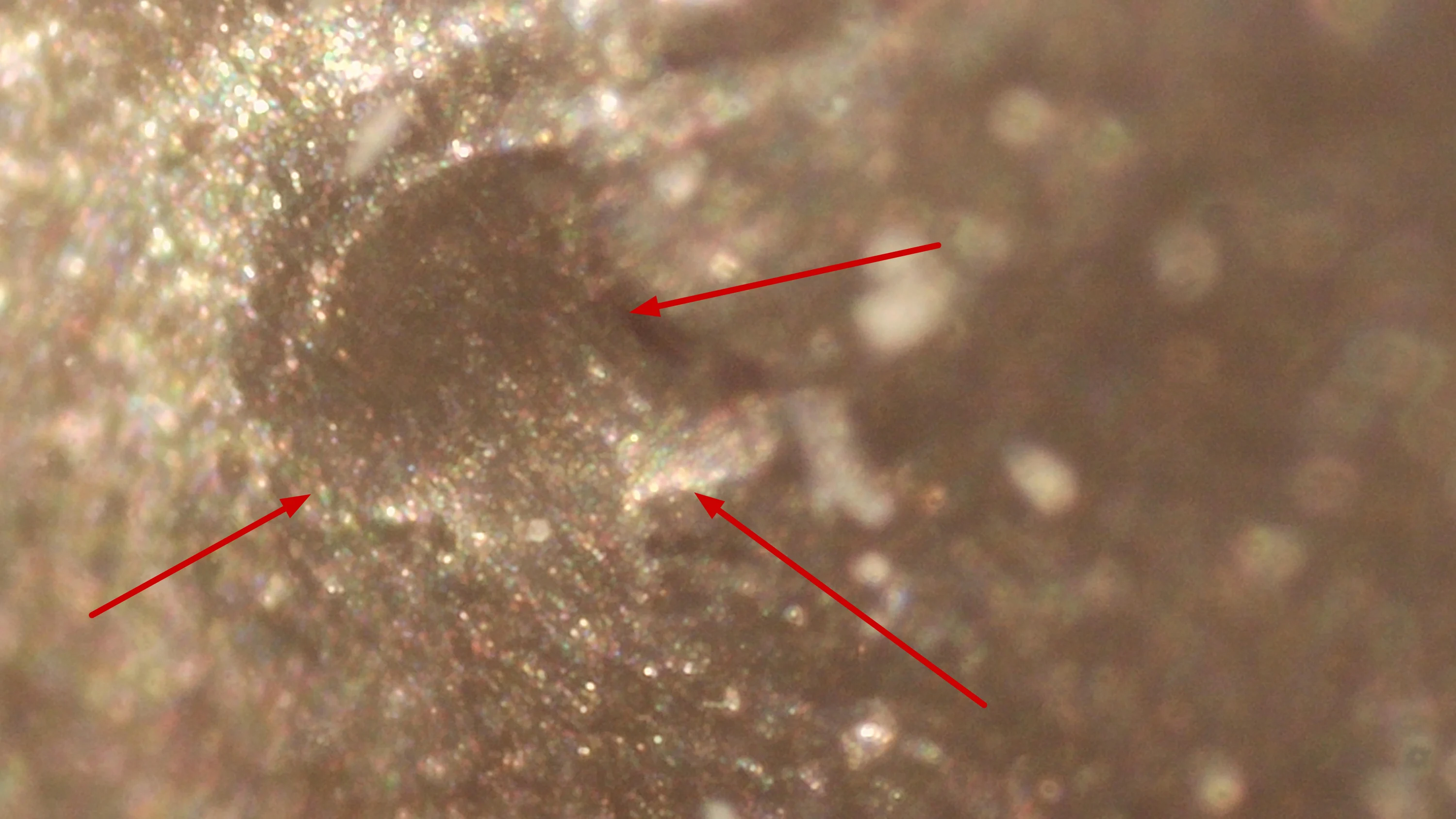 2024-D-Kennedy-Half-Dollar---Raised-Star-On-Obverse