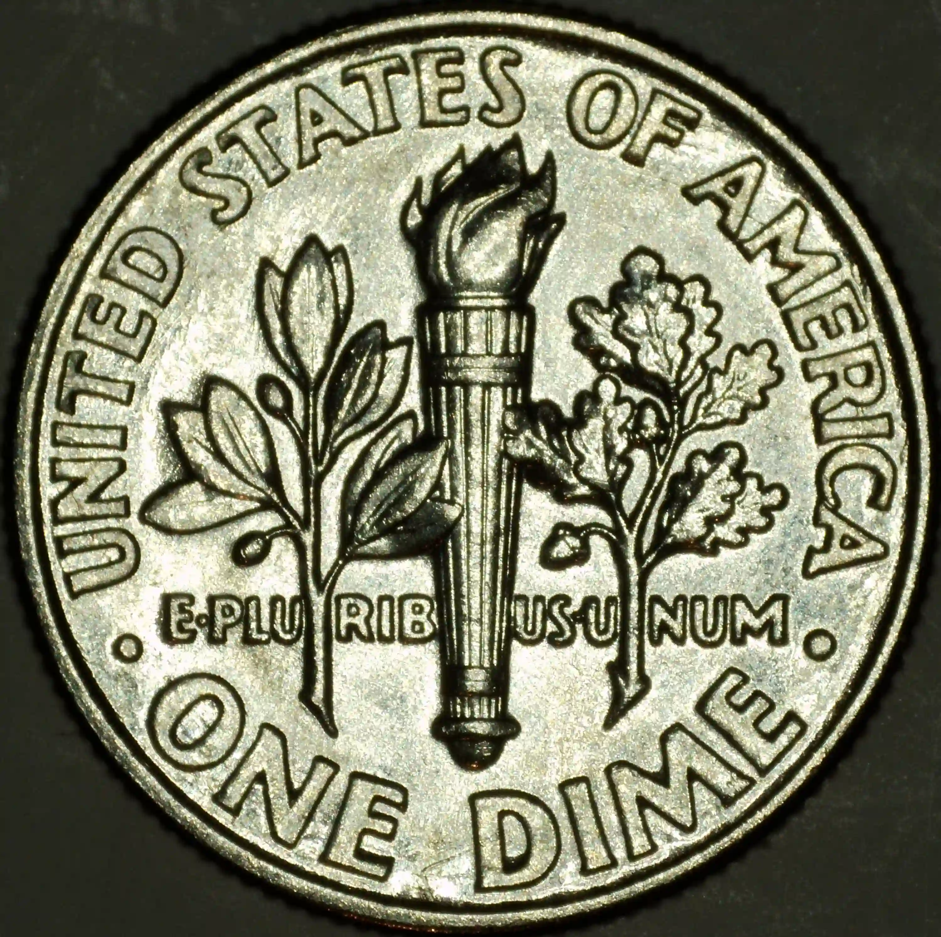 1994-P-Roosevelt-Dime---Reverse-Unknown