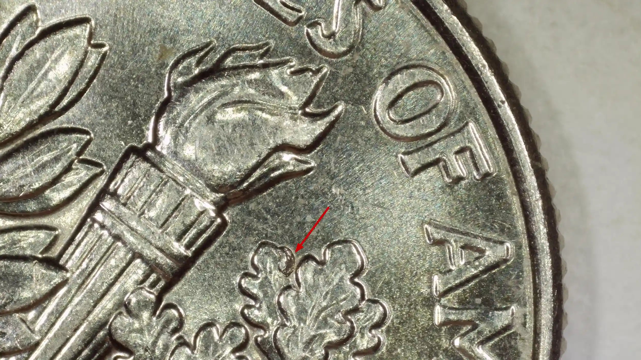 2024-D-Roosevelt-Dime---Unsure-Reverse-Leaf