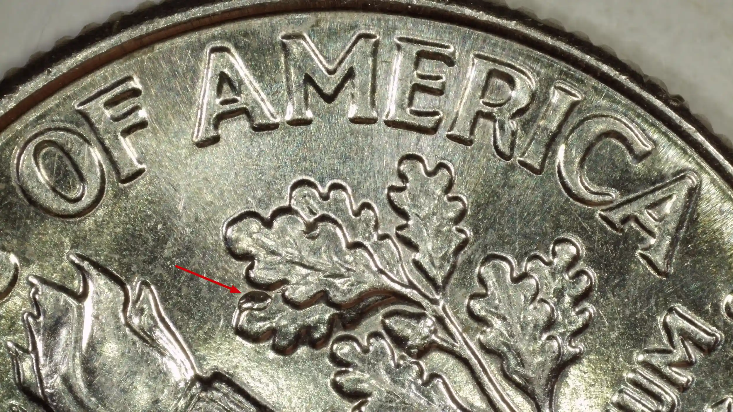 2024-D-Roosevelt-Dime---Unsure-Reverse-Leaf