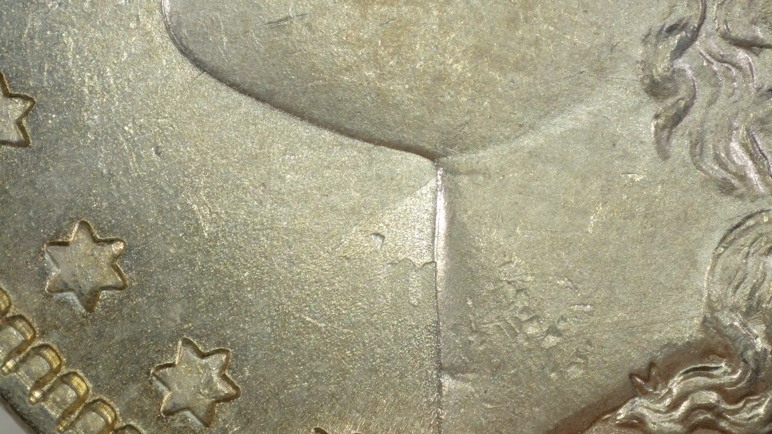 1880-Morgan-Dollar---VAM-32A-Or-24A?