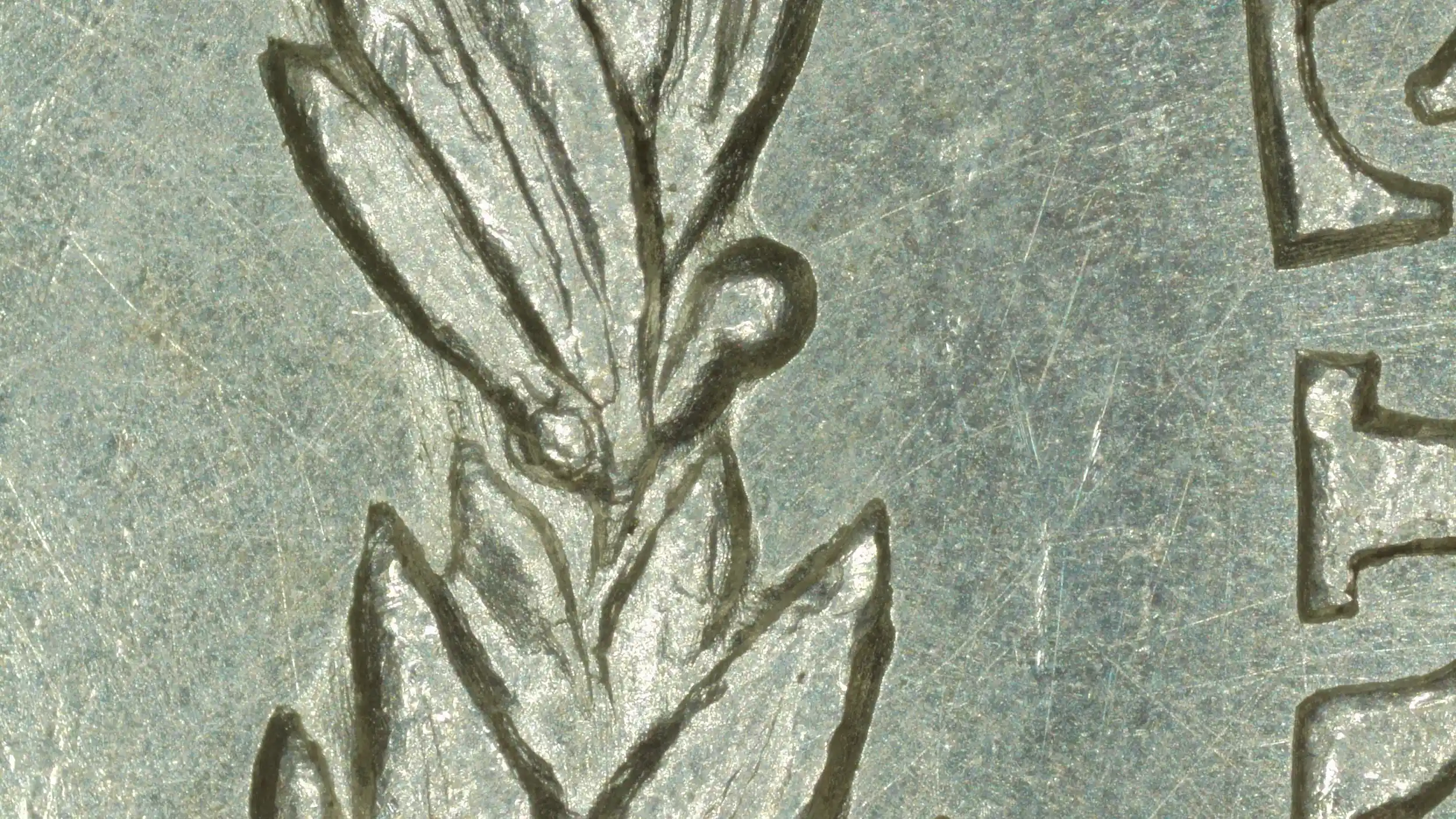 1921-Zerbe-Special-Strike-?