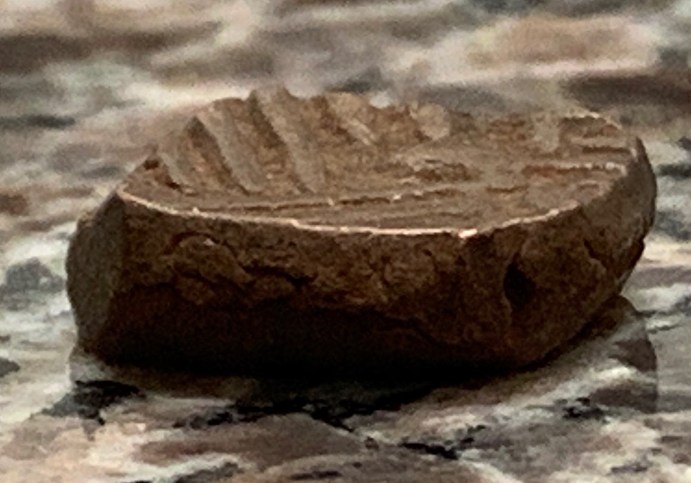 Unknown-Indian-/-Asian-Coin-Id:-Potential-Nawanagar