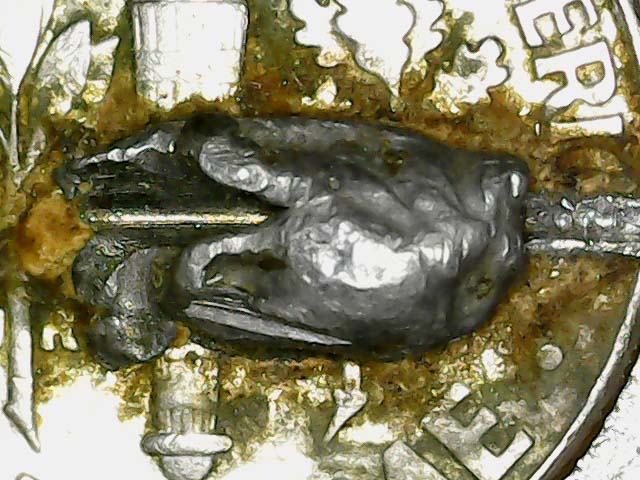 1997-D-Dime-With-Something-Imbedded-In-It?