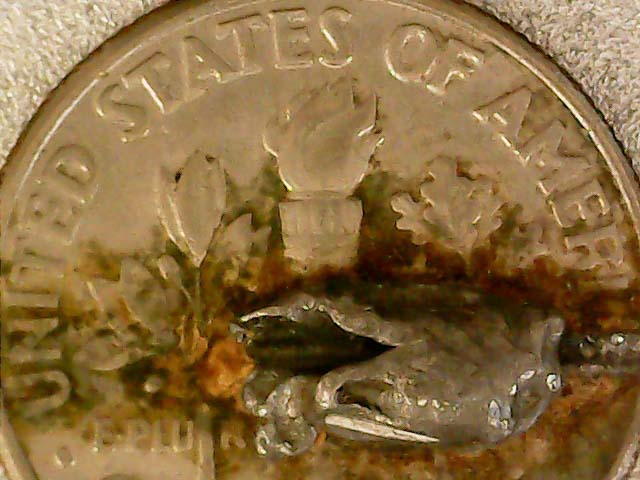 1997-D-Dime-With-Something-Imbedded-In-It?