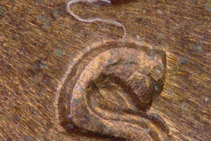 1954-S-Lincoln-Cent-1MM-004