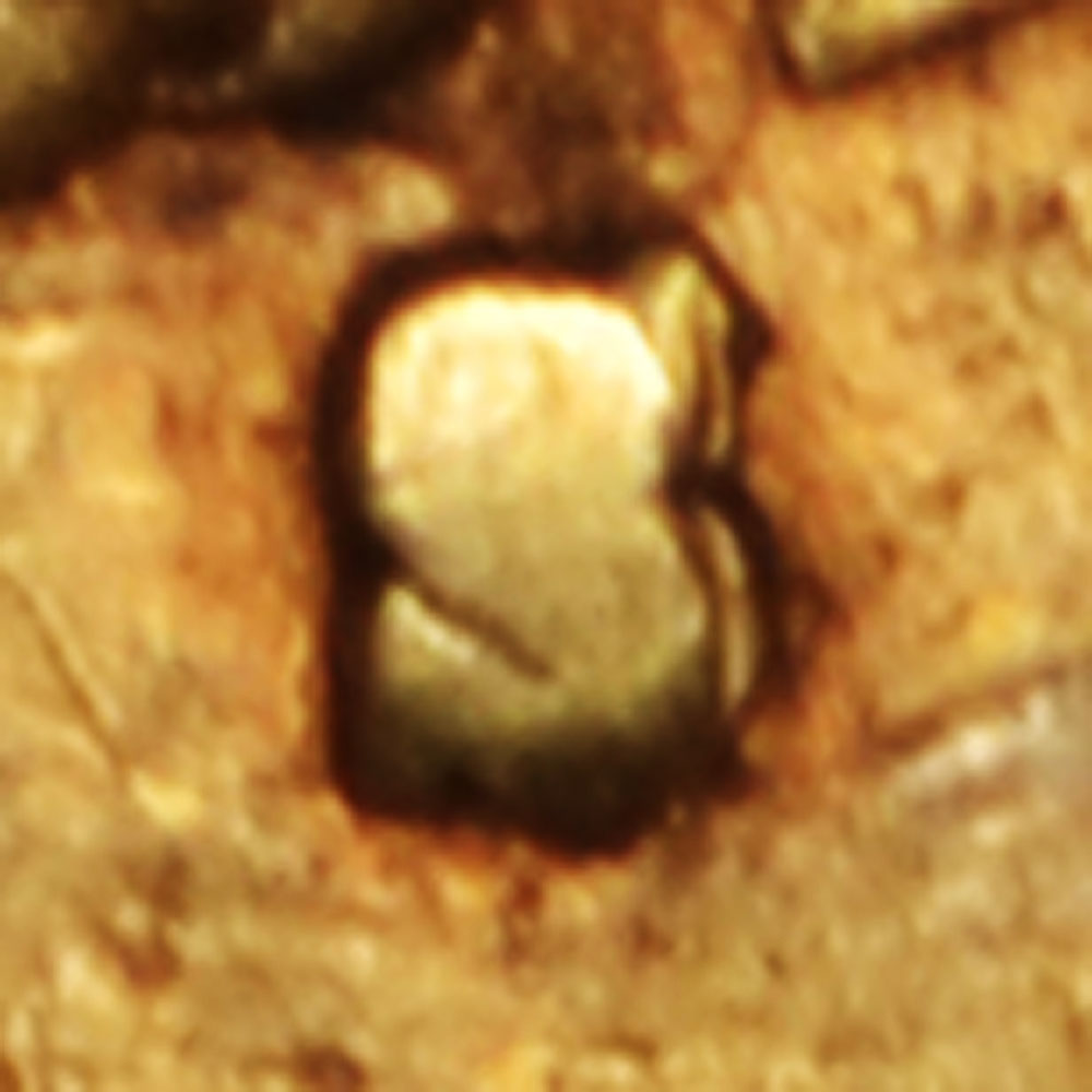Machine-Doubling-On-A-Liberty-Head-5-$-1882-S