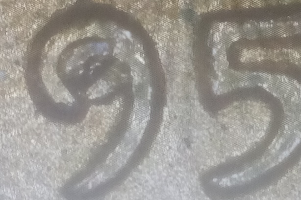 1957-Lincoln-Penny-Error