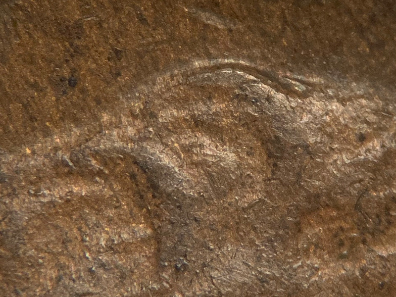 1909-Lincoln-Wheat-Cent-VDB-DDO