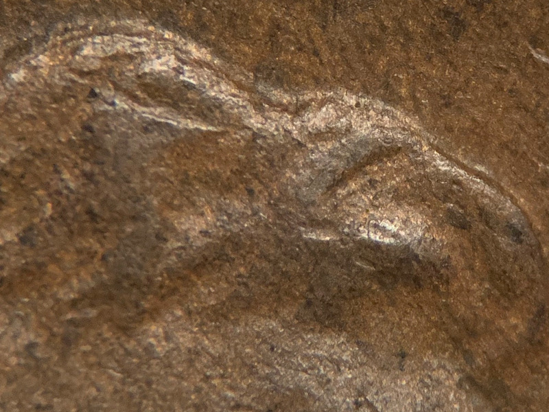 1909-Lincoln-Wheat-Cent-VDB-DDO