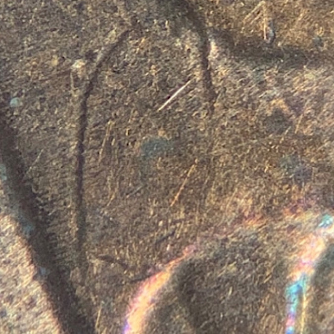 2011-Lincoln-Shield-Cent-RIDB?