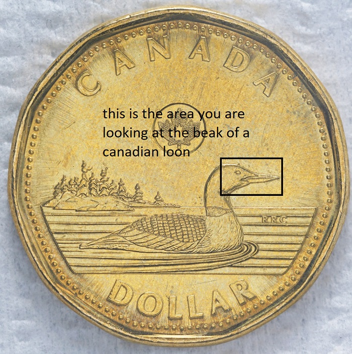 Extreme-Macro-Coin-Photography