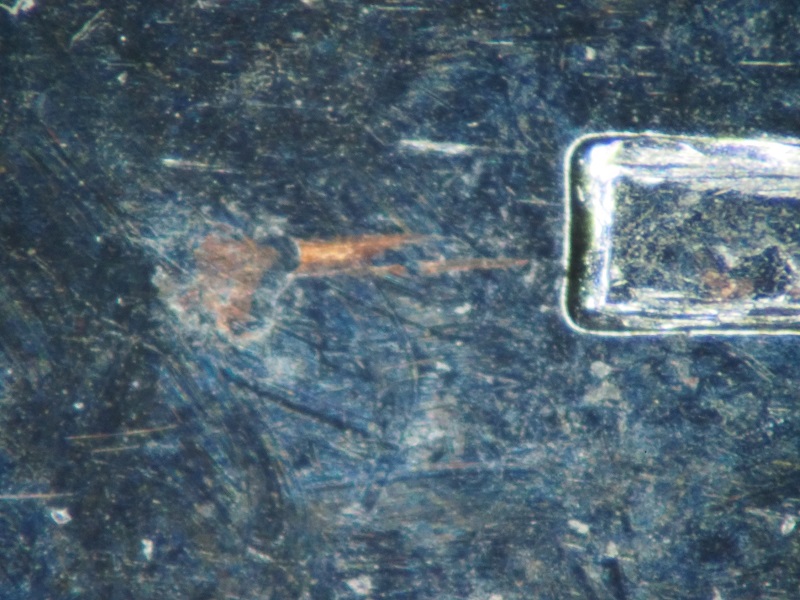 Canadian-Coin-Hologram-Issue