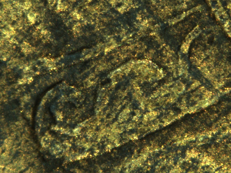 1897-Canadian-1-Cent-Doubled-Punched-C