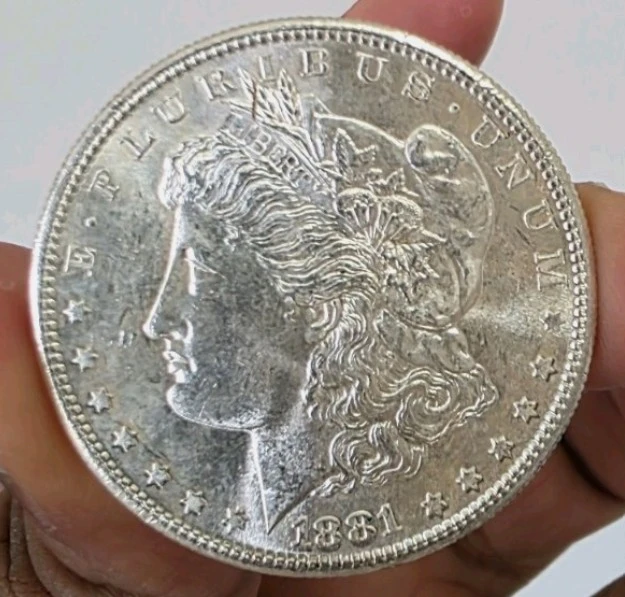 Need-Advice!-1881-S-Morgan-Dollar