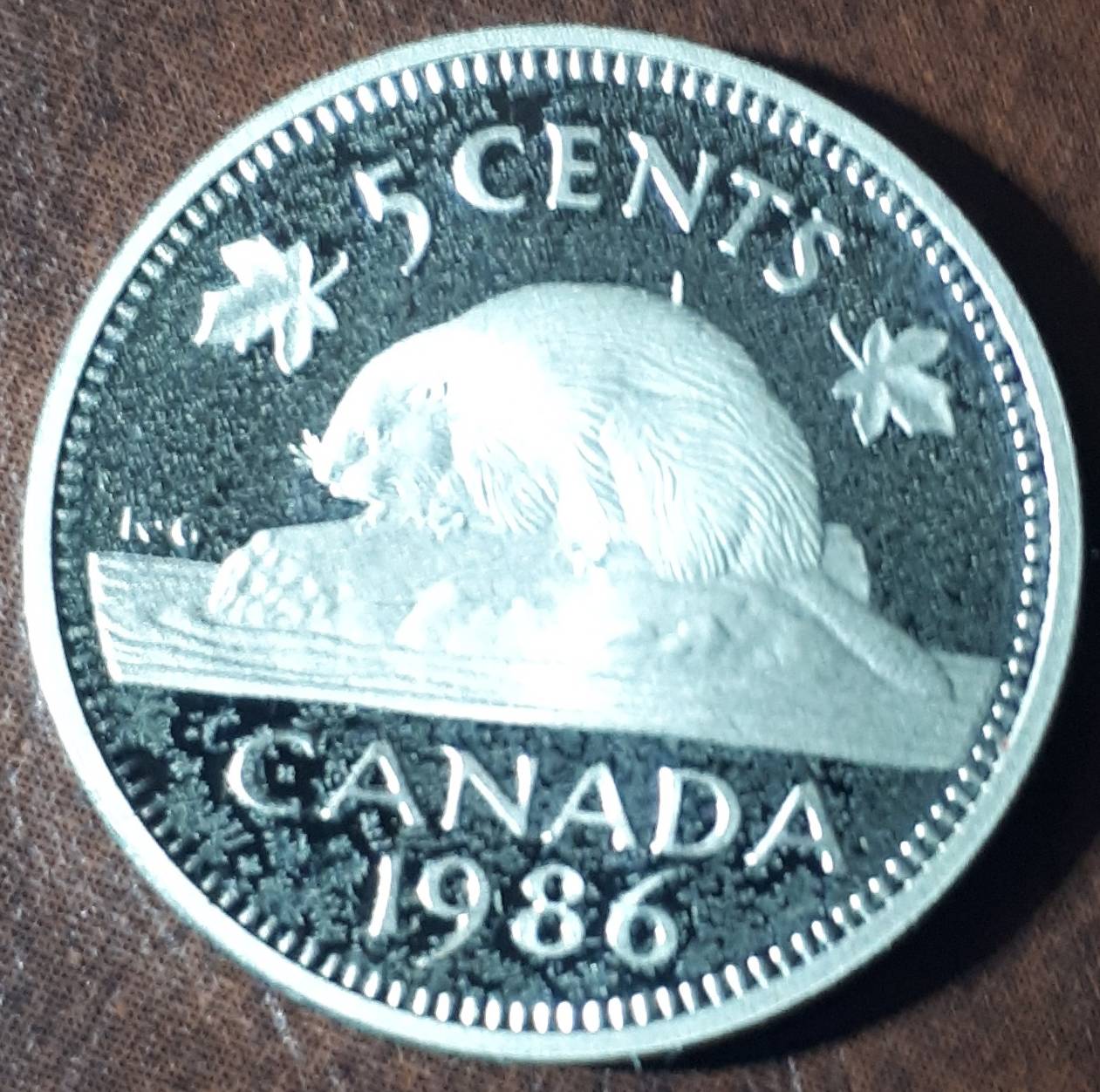 1986-Proof-Nickel-With-Frosted-Fields?