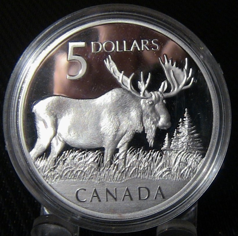 Post-Your-Coins-And-Medals-With-Trees