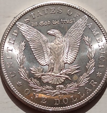1884---CC-Morgan-Dollar-Uncommon/Unbelievable?-Find-In-Rome