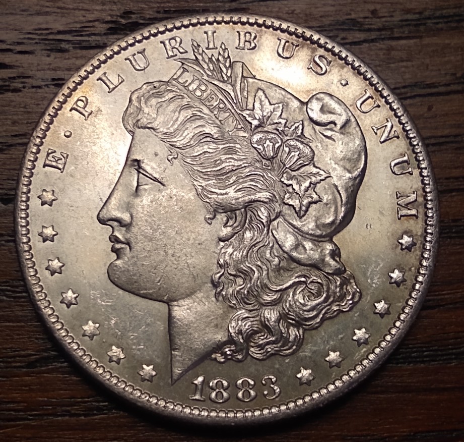 1883-O-Morgan-Dollar-Thoughts-Please.