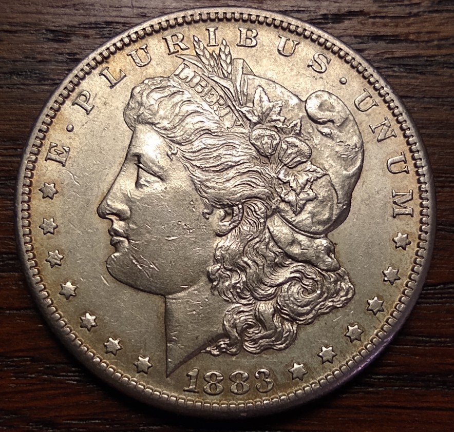 1883-S-Morgan-Dollar-Thoughts-Please.