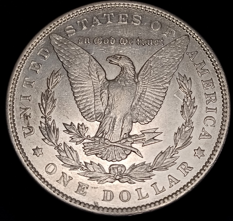 1893-P-Morgan-Dollar-Thoughts-Please