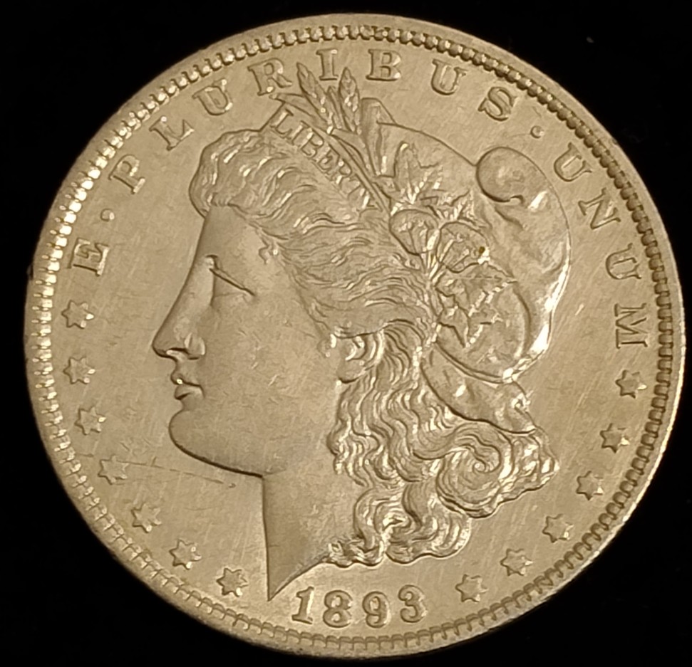 1893-P-Morgan-Dollar-Thoughts-Please