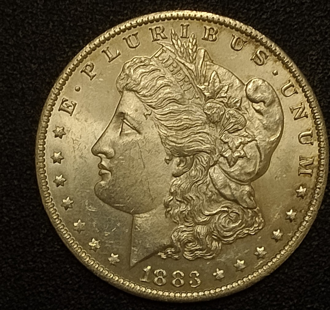 1883-O-Morgan-Dollar-Grading-Thoughts-Please
